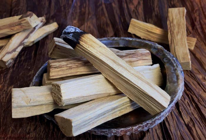 چوب پالوسانتو