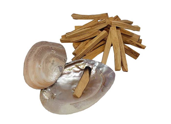 چوب پالوسانتو