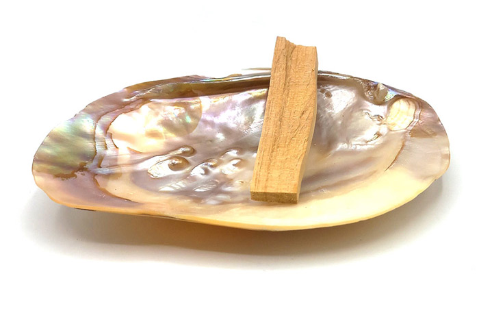 چوب پالوسانتو