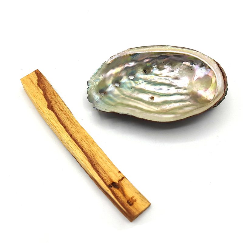 چوب مقدس پالوسانتو اکوادور و صدف آبالون بزرگ