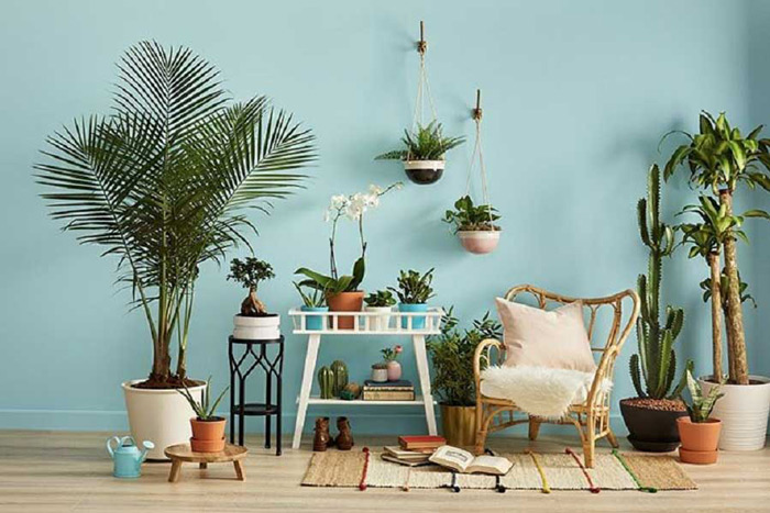 فنگشویی در دکوراسیون خانه