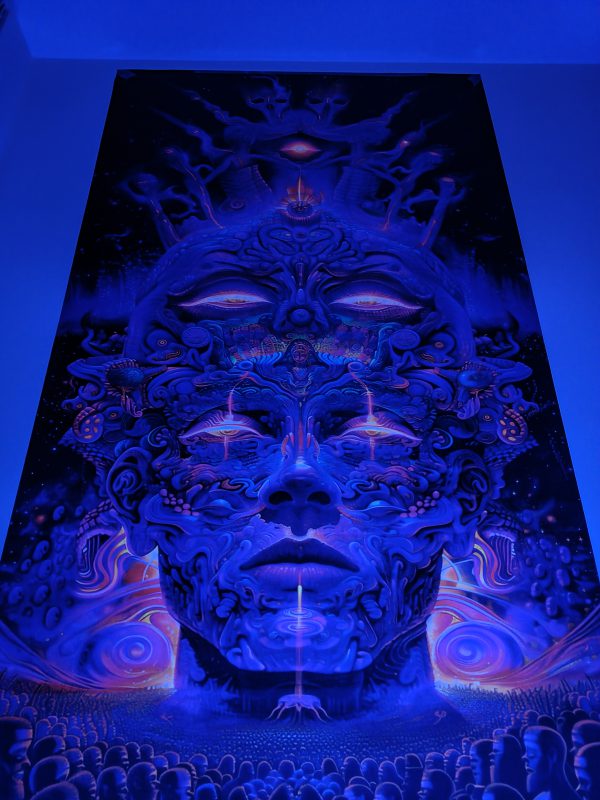 بکدراپ پارچه ای بلک لایت سایز 150*200 کد 210022