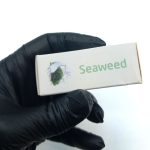 خوشبو کننده ماشین ایفل اصل  EYFEL مدل جلبک دریایی  seaweed کد 5463025 - Image 2