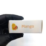 خوشبو کننده ماشین ایفل اصل EYFEL مدل انبه mango کد 563015