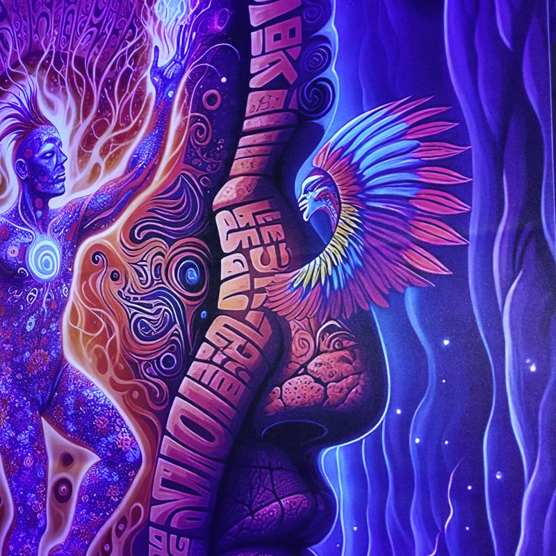 بکدراپ پارچه ای بلک لایت سایز 145*145 کد 210062