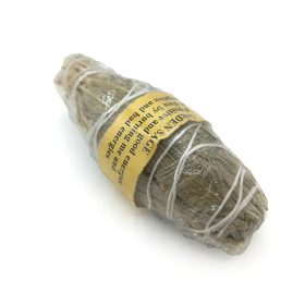 اسماج مریم گلی garden sage