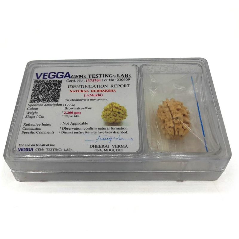 مهره رودراکشا شناسنامه دار مدل 3 موکی