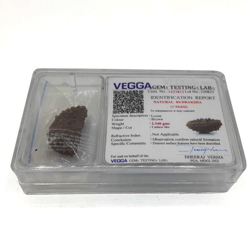 مهره رودراکشا شناسنامه دار مدل 1 موکی