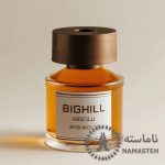 خوشبو کننده هوا بیگهیل Bighill 120ml کد RD-13 رایحه Absolu