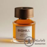 خوشبو کننده هوا بیگهیل Bighill 120ml کد RD-9 رایحه Nature