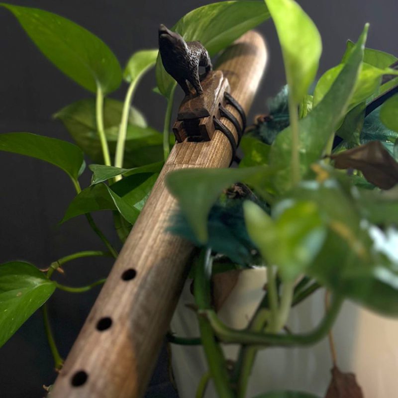 فلوت سرخپوستی لاکوتا مدل گرگ کوک فادیز کد c07