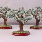 درختچه فیروزه دکوری 12 سانتی