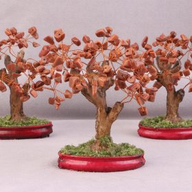 درختچه دلربا قهوه ای دکوری 12 سانتی