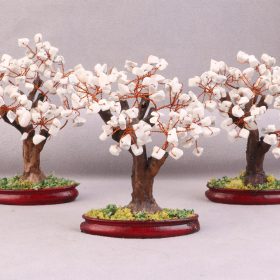 درختچه هائولیت دکوری 12 سانتی