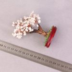 درختچه هائولیت دکوری 12 سانتی