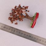درختچه ابسیدین ماهگونی دکوری 12 سانتی
