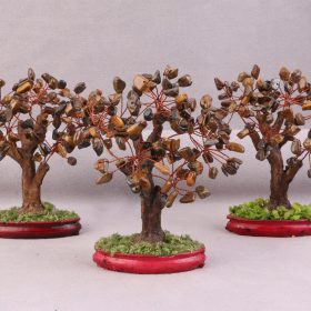 درختچه چشم ببر دکوری 12 سانتی m