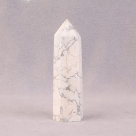 منشور هائولیت کد 48